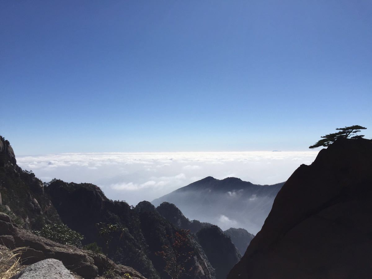 重大消息！今日起招標新規(guī)正式實施，低于100萬的勘察、設計、監(jiān)理；低于400萬工程將不再需要招標！